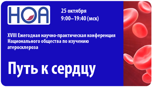 НОА 25.10.2025