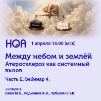 Между небом и землей Часть II. Вебинар 4