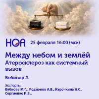 Между небом и землей Вебинар 2