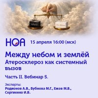 Между небом и землей Часть II. Вебинар 5